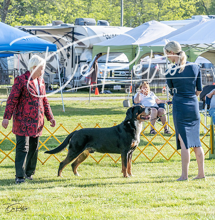 20230513-DSC02348