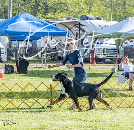 20230513-DSC02351