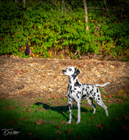 20261017-DSC08870