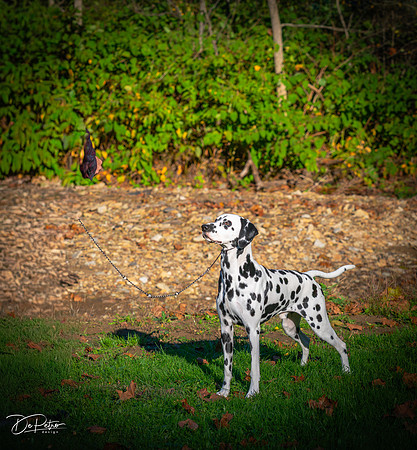 20261017-DSC08870