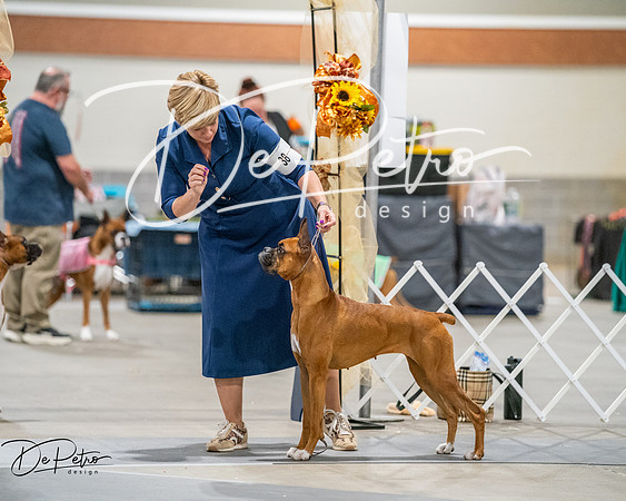 20261022-DSC03215
