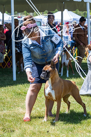 20230514-DSC04439