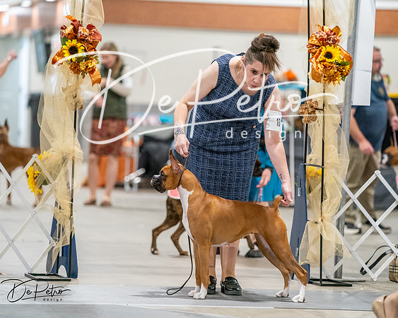 20261022-DSC03113