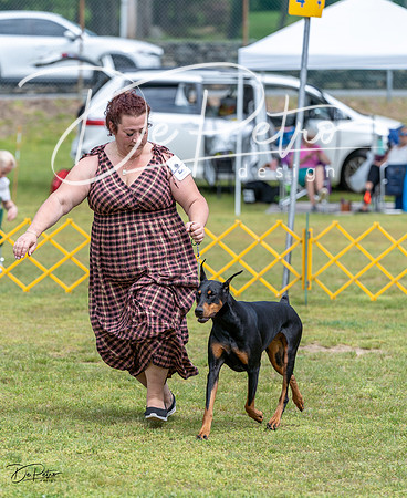 20230513-DSC08471