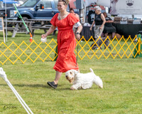 20230513-DSC00062