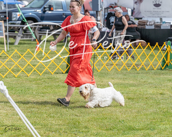 20230513-DSC00062