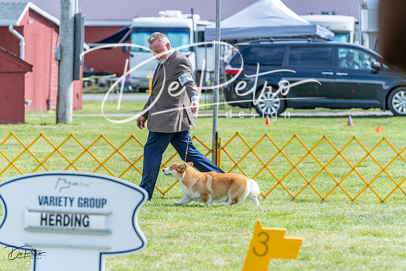 20230512-DSC05540