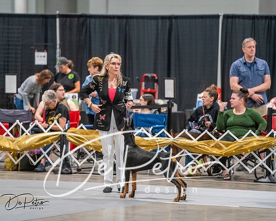 20260926-DSC03805
