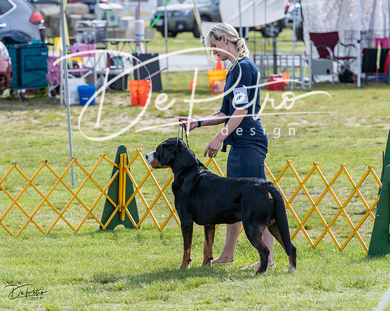 20230513-DSC00786