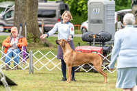 20230427-DSC06467