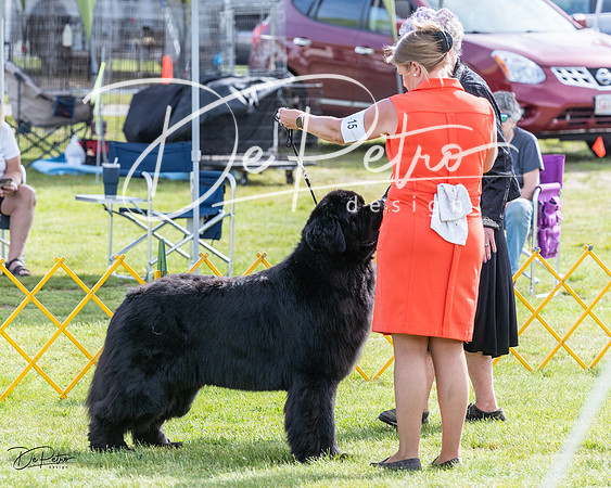 20230513-DSC00971