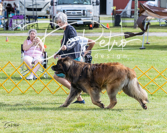 20230513-DSC00618