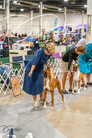 20261022-DSC00358