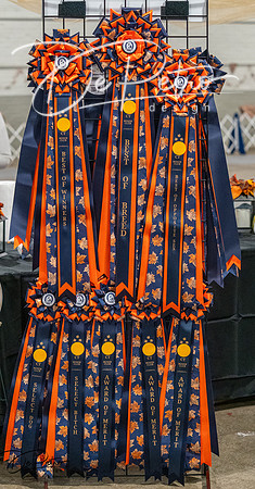 20261022-DSC02654
