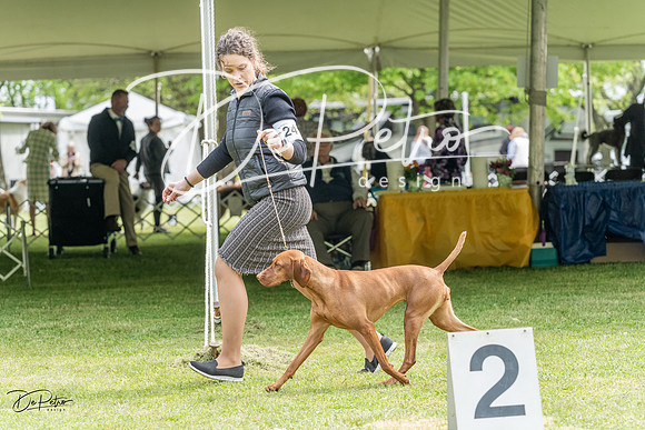 20230427-DSC06051