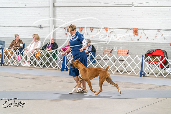 20261022-DSC00474