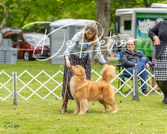 20230427-DSC03487