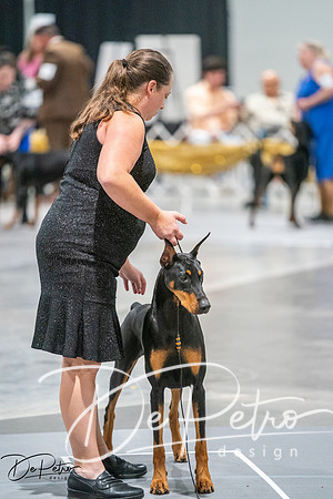 20260926-DSC04157