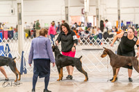 20261024-DSC00579