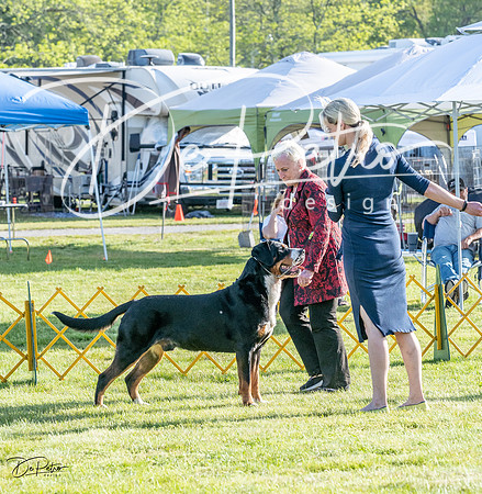 20230513-DSC02345