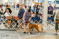 20261023-DSC04941
