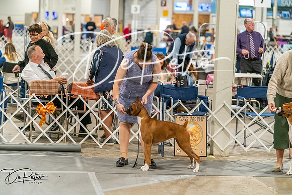 20261023-DSC04941