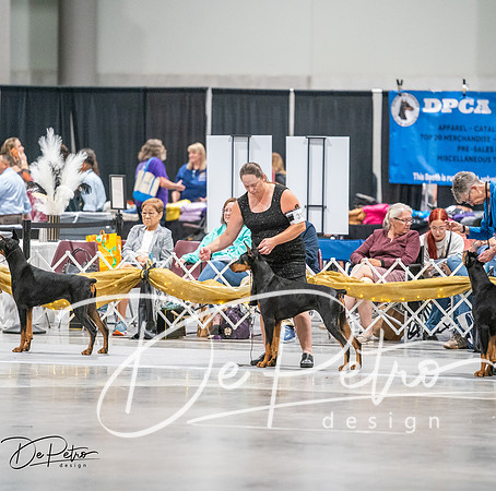 20260926-DSC04217