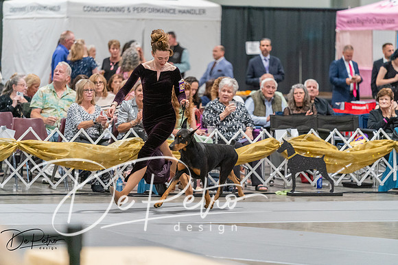 20260928-DSC06129