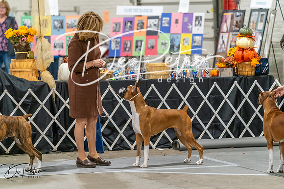 20261023-DSC05520