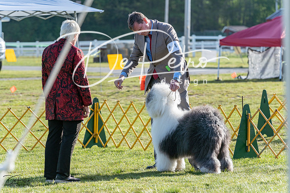 20230513-DSC02432