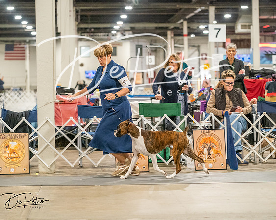 20261022-DSC01816