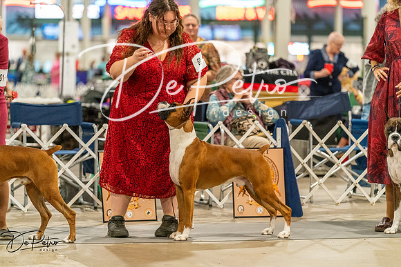 20261023-DSC05479