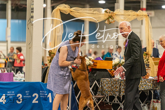 20261023-DSC05311