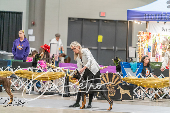 20260927-DSC05098