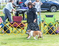 20230512-DSC03973