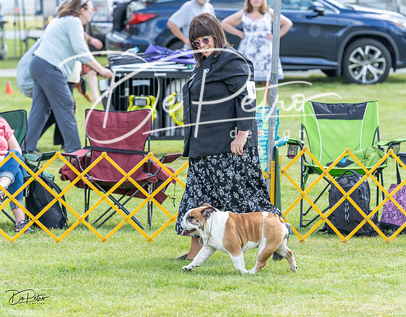 20230512-DSC03973