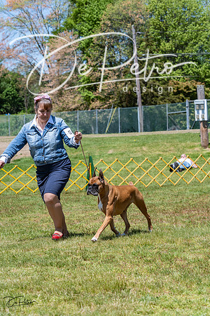 20230514-DSC04448