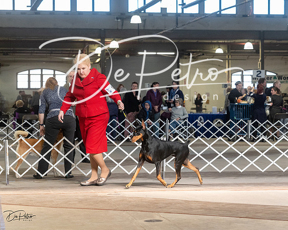 20230402-DSC08878