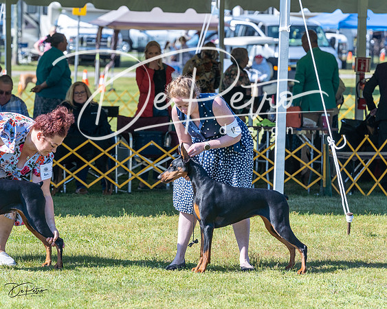 20230514-DSC02745