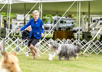 20230427-DSC06714