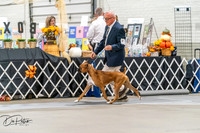 20261023-DSC04849
