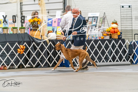 20261023-DSC04849