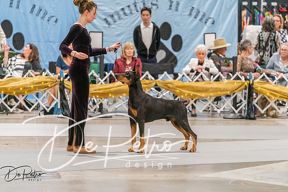 20260928-DSC06211