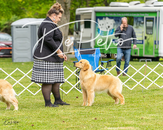 20230427-DSC03698