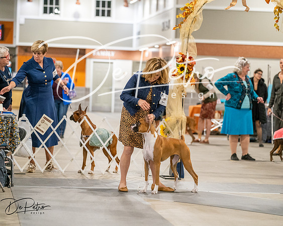 20261022-DSC03061