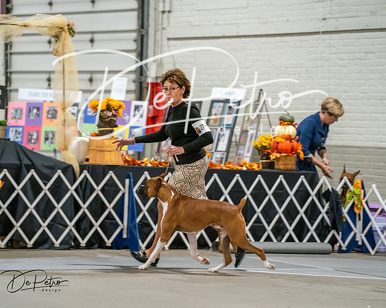 20261022-DSC02949