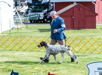 20230512-DSC05655