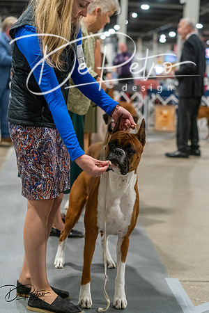 20261023-DSC05495