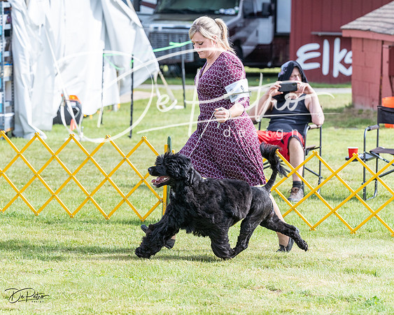 20230513-DSC01050