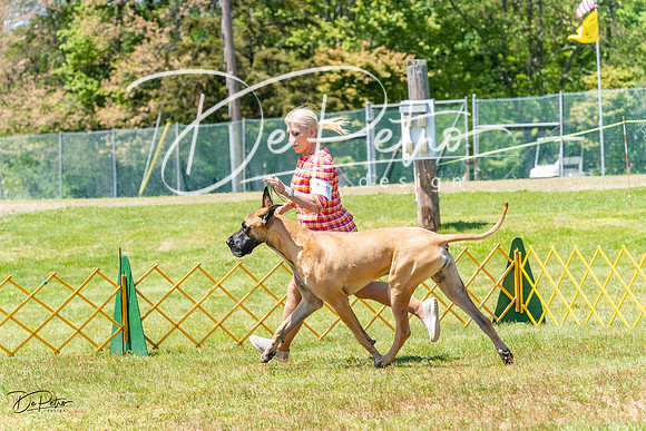 20230514-DSC07835